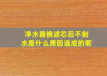 净水器换滤芯后不制水是什么原因造成的呢