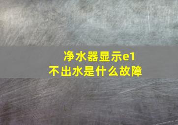 净水器显示e1不出水是什么故障