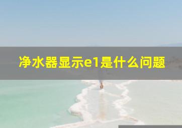 净水器显示e1是什么问题