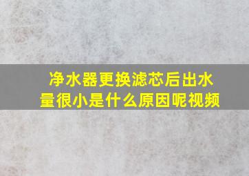 净水器更换滤芯后出水量很小是什么原因呢视频