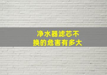 净水器滤芯不换的危害有多大