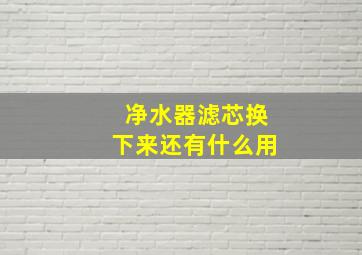 净水器滤芯换下来还有什么用