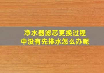 净水器滤芯更换过程中没有先排水怎么办呢