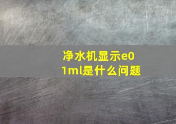 净水机显示e01ml是什么问题