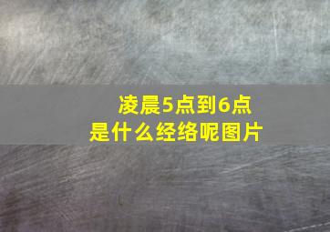 凌晨5点到6点是什么经络呢图片