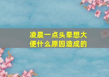 凌晨一点头晕想大便什么原因造成的