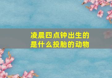 凌晨四点钟出生的是什么投胎的动物