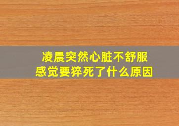 凌晨突然心脏不舒服感觉要猝死了什么原因