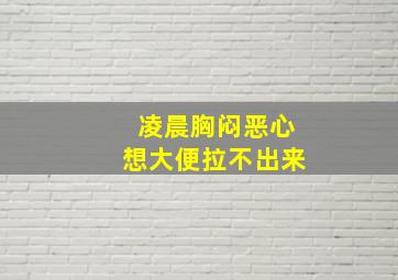 凌晨胸闷恶心想大便拉不出来