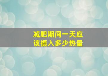 减肥期间一天应该摄入多少热量