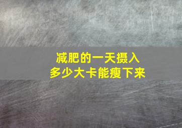 减肥的一天摄入多少大卡能瘦下来