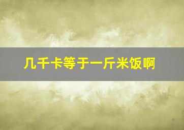 几千卡等于一斤米饭啊