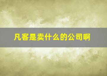 凡客是卖什么的公司啊