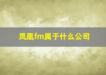 凤凰fm属于什么公司