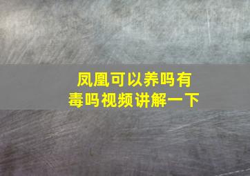 凤凰可以养吗有毒吗视频讲解一下