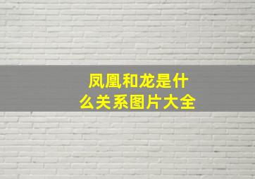 凤凰和龙是什么关系图片大全