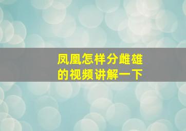 凤凰怎样分雌雄的视频讲解一下