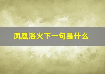 凤凰浴火下一句是什么