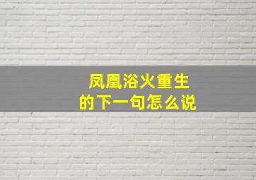 凤凰浴火重生的下一句怎么说