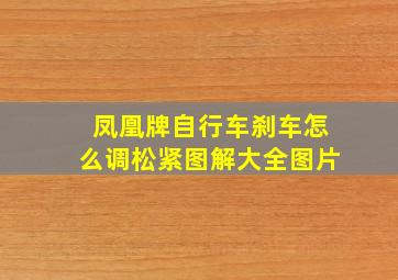 凤凰牌自行车刹车怎么调松紧图解大全图片