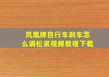 凤凰牌自行车刹车怎么调松紧视频教程下载