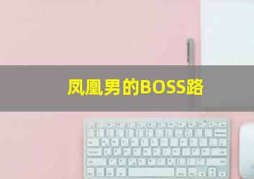 凤凰男的BOSS路