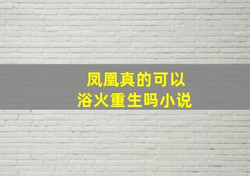 凤凰真的可以浴火重生吗小说