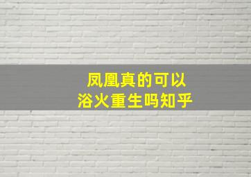 凤凰真的可以浴火重生吗知乎