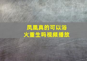 凤凰真的可以浴火重生吗视频播放