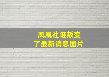 凤凰社谁叛变了最新消息图片