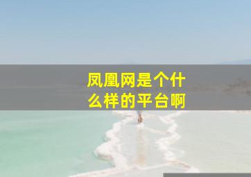 凤凰网是个什么样的平台啊