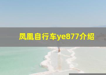 凤凰自行车ye877介绍