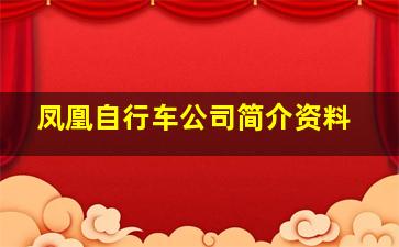 凤凰自行车公司简介资料