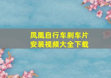 凤凰自行车刹车片安装视频大全下载