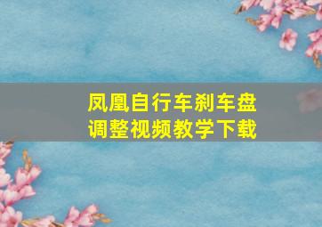 凤凰自行车刹车盘调整视频教学下载