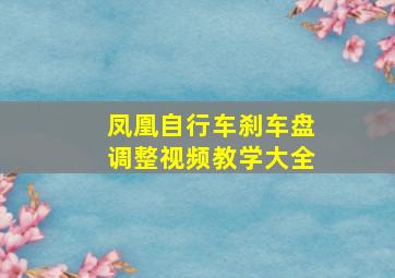 凤凰自行车刹车盘调整视频教学大全