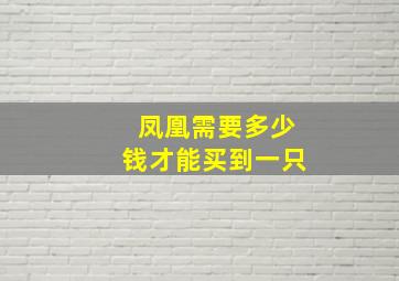 凤凰需要多少钱才能买到一只