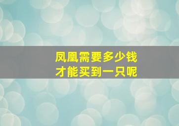 凤凰需要多少钱才能买到一只呢