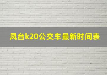 凤台k20公交车最新时间表