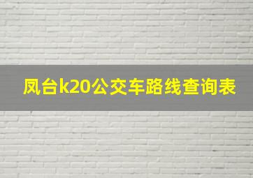 凤台k20公交车路线查询表