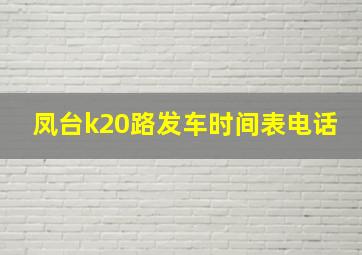 凤台k20路发车时间表电话