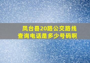 凤台县20路公交路线查询电话是多少号码啊