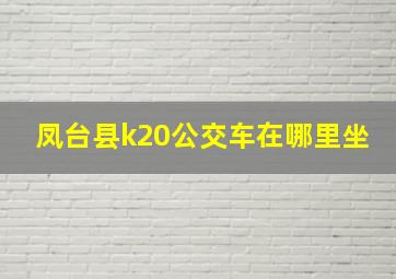 凤台县k20公交车在哪里坐