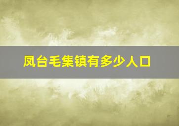 凤台毛集镇有多少人口