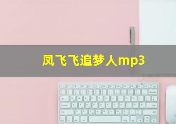 凤飞飞追梦人mp3