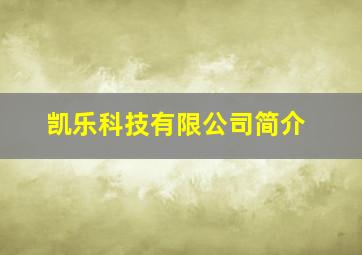 凯乐科技有限公司简介