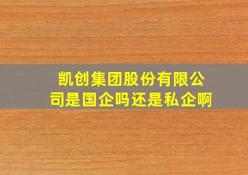 凯创集团股份有限公司是国企吗还是私企啊