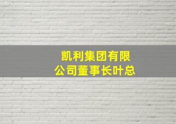 凯利集团有限公司董事长叶总