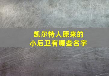 凯尔特人原来的小后卫有哪些名字