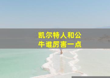 凯尔特人和公牛谁厉害一点